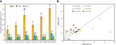 Effect of planting and mowing cover crops as livestock feed on soil quality and pear production